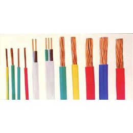 山東陽谷特種電纜與五金電器產業(yè) 區(qū)域經濟的重要支柱